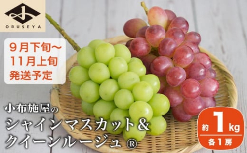 シャインマスカット＆クイーンルージュ® 約1kg 各1房 ［小布施屋］ 果物 フルーツ ぶどう 葡萄 令和7年産【2025年9月下旬～11月上旬発送】 ［A-300］