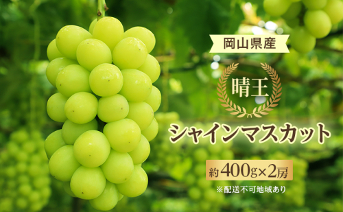 ぶどう 2025年 先行予約 シャイン マスカット 晴王 約400g×2房 8月下旬～11月下旬発送 ブドウ 葡萄 岡山県産 国産 フルーツ 果物 ギフト  667186 - 岡山県里庄町