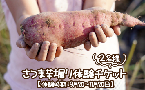 さつま芋堀り体験チケット2名様 【体験時期：9月20～11月20日】 667768 - 兵庫県淡路市