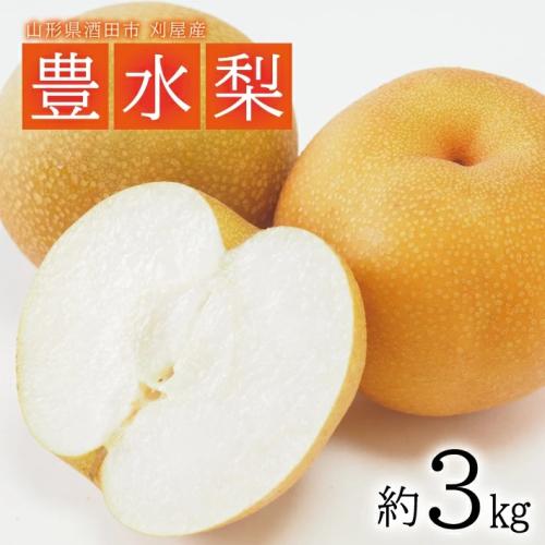 SA2564　酒田の果物専門店厳選　刈屋産 豊水梨　約3kg(7～9玉入) 667945 - 山形県酒田市