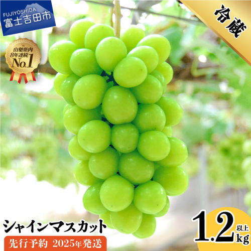【2025年先行予約】山梨県産 シャインマスカット2房 (1.2kg以上) 66919 - 山梨県富士吉田市
