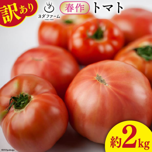【2025年発送】 春作 訳あり 桃太郎トマト 2kg [ヨダファーム 山梨県 中央市 21470976] 規格外 家庭用 不揃い トマト とまと 野菜 やさい 2キロ 季節限定 期間限定 産地直送 山梨県産 訳アリ tomato 669249 - 山梨県中央市
