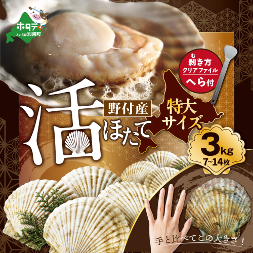 【先行予約】特大活ほたて ３kg相当 7～14枚入り＜朝どり新鮮出荷!＞ 670662 - 北海道別海町
