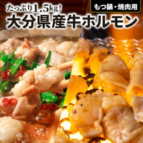 たっぷり1.5kg！大分県産牛ホルモン/ もつ鍋 / 焼肉用_1454R 67246 - 大分県国東市