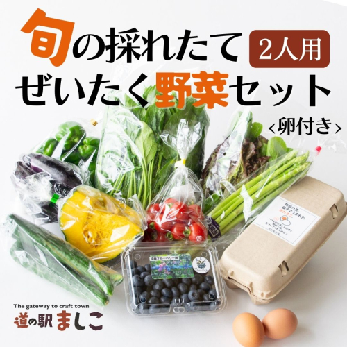 旬の採れたてぜいたく野菜セット（卵付き）2人用 益子町 ふるさと納税 やさい 野菜 セット 旬 野菜 採れたて(AA001) 675878 - 栃木県益子町