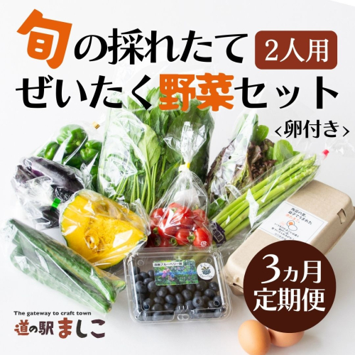 <3ヶ月定期便>旬の採れたてぜいたく野菜セット(卵付き)2人用 益子町 ふるさと納税 やさい 野菜 セット 旬 野菜 採れたて(AA002) 675881 - 栃木県益子町