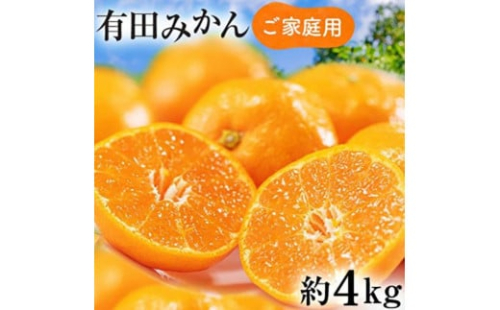 ［先行予約］ご家庭用 完熟有田みかん 約3kg［2025年12月発送予定］訳あり 農家直送［MS3-2］ 677299 - 和歌山県上富田町