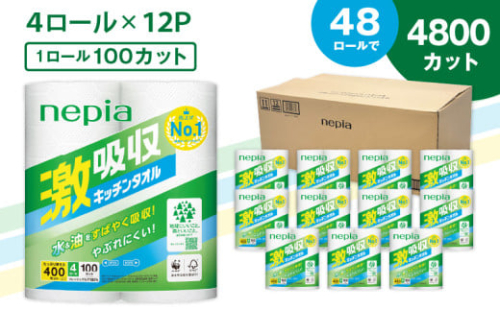 【A012】紙のまち苫小牧 王子ネピア 激吸収 キッチンタオル 100 （48ロール）　T001-001