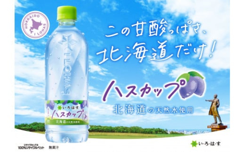 い・ろ・は・す ハスカップ　540mlPET×48本 いろはす 北海道限定 フレーバー ミネラルウォーター 飲料水 ローカロリー ペットボトル 計48本 水 飲料 札幌工場製造 札幌市