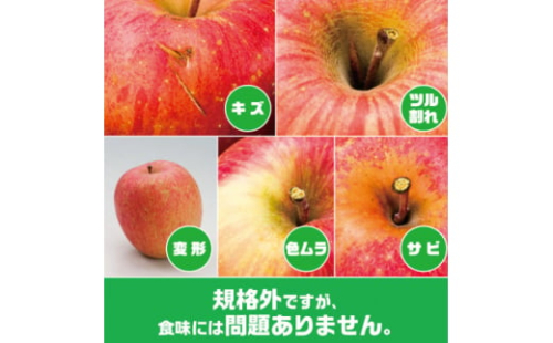 ＜2025年9月末～発送開始＞内容量　約10Kg　訳ありりんご　早生ふじ　24～46個入【1333053】
