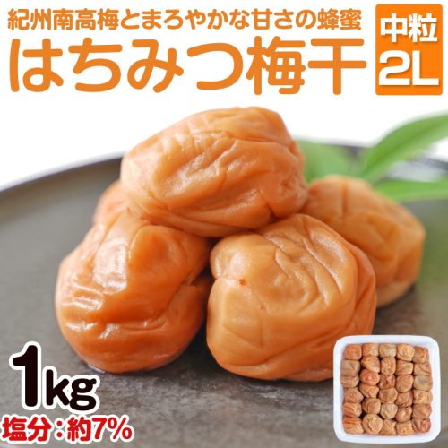 はちみつ梅干し(紀州南高梅)1kg 中粒 2L 和歌山県産 69448 - 和歌山県御坊市