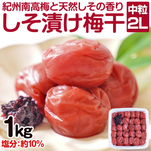 しそ漬け梅干し（紀州南高梅）800g 中粒 2L 和歌山県産 69449 - 和歌山県御坊市