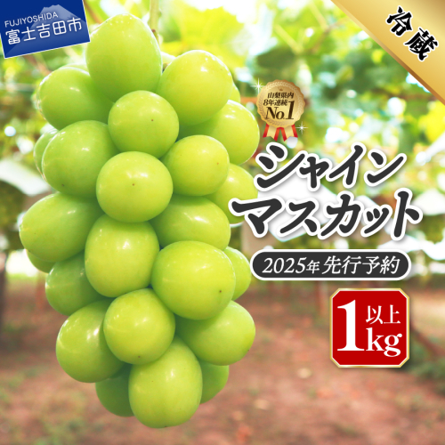 【2025年先行予約】ジューシーで甘さ抜群　厳選シャインマスカット1kg以上 695242 - 山梨県富士吉田市