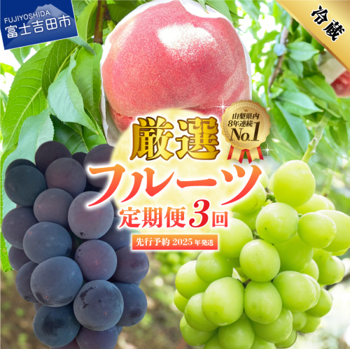 【2025年先行予約】【定期便】 厳選 フルーツ3回定期便
 695247 - 山梨県富士吉田市