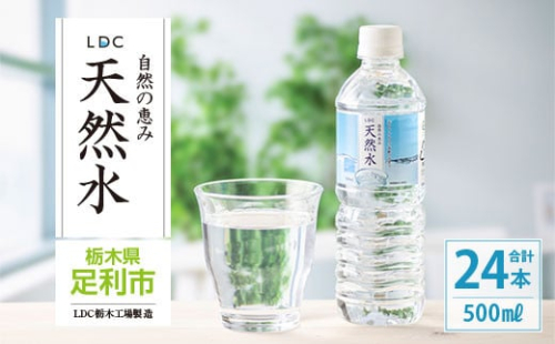 水 ミネラルウォーター 天然水 500ml 24本 お水 飲料水 軟水で飲みやすい 備蓄品としてもオススメ  F7Z-412