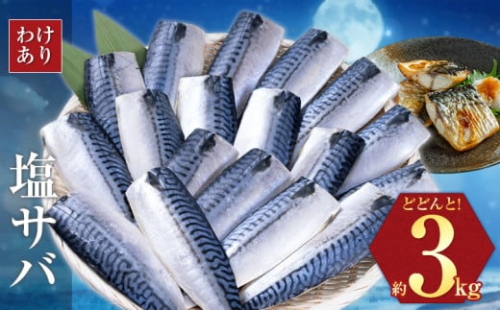【訳あり】勝浦市の人気 海鮮お礼品 無添加 塩サバ 3kg 株式会社西川《30日以内に出荷予定(土日祝除く)》千葉県 勝浦市  塩サバ さば 魚 海鮮 無添加 冷凍 訳あり【配送不可地域：離島】 st-p
