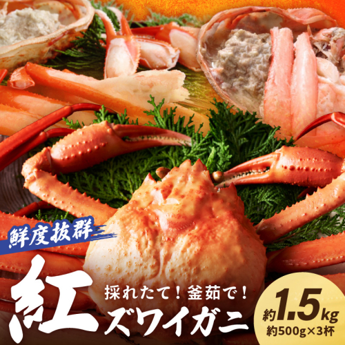 採れたて!釜茹で! 紅ズワイガニ 3杯 707230 - 京都府京丹後市