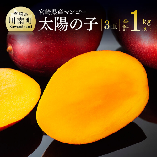 【令和7年発送】宮崎マンゴー 太陽の子３玉（1kg以上） 【 果物 くだもの フルーツ 宮崎マンゴー 】 71029 - 宮崎県川南町