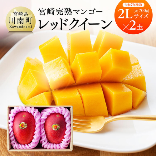 【令和8年発送】宮崎県産完熟マンゴー　「レッドクイーン」2L×2玉 【 果物 フルーツ マンゴー 宮崎県産 完熟マンゴー みやざきマンゴー 先行予約 数量限定 期間限定 】 71065 - 宮崎県川南町