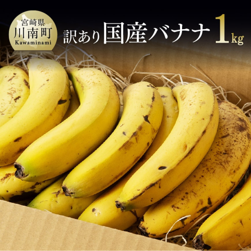 《訳あり》 国産 バナナ １ｋｇ 【 果物 くだもの フルーツ 】 宮崎県川南町 71121 - 宮崎県川南町