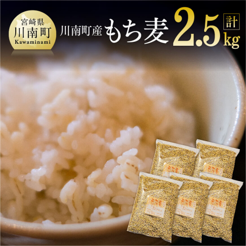 令和7年産 もち麦 2.5kg（500g×5袋） 【 ふるさと納税 国産 麦 もち麦 食物繊維 数量限定 宮崎県産 川南町産 送料無料 】 71168 - 宮崎県川南町