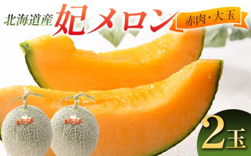 【先行予約】令和7年産 妃メロン 赤肉 大玉 2玉（令和7年7月下旬～8月中旬発送予定） 北海道 2012-01 72004 - 北海道沼田町