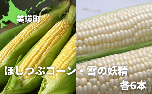 【先行予約】とうもろこし（ほしつぶコーン & 雪の妖精）各6本 計12本 <令和8年産 >黒木農場 | とうもろこし 北海道 スイートコーン とうきび 夏野菜 美瑛産 北海道産 北海道産とうもろこし [011-58]