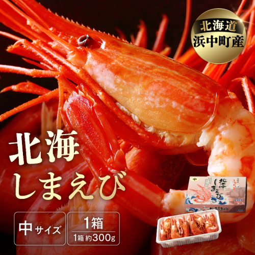 北海しまえび(中)　300g×1箱(17尾前後)_H0001-008 723963 - 北海道浜中町