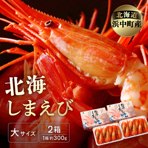 北海しまえび(大)　300g×2箱セット(1箱あたり13尾前後)_H0001-007 723979 - 北海道浜中町