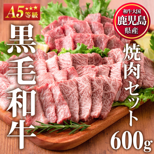 No.507-03 ＜A5等級＞鹿児島県産黒毛和牛焼肉セット(計600g・霜降り焼肉200g×2P、赤身焼肉200g×1P)国産 九州産 牛肉 黒毛和牛 和牛 焼肉 焼き肉 赤身 霜降り A5 A5ランク A5等級 食べ比べ セット 冷凍【カミチク】 73416 - 鹿児島県日置市