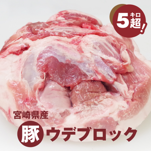 宮崎県産豚ウデブロック5kg超 K16_0014_10 73736 - 宮崎県木城町