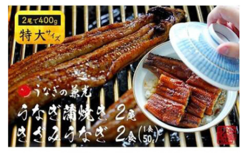【通常発送】【三河 一色産】 特大サイズ うなぎ蒲焼き 2尾+きざみうなぎ 2袋 セット（蒲焼：2尾400ｇ、きざみ うなぎ：50ｇ×2袋） 小分け 個包装 国産 蒲焼 タレ付き うなぎの兼光 うなぎ 鰻 ウナギ たれ セット 冷凍 簡単 時短 ギフト ひつまぶし うなぎ丼 うなぎ重 人気 U022-18