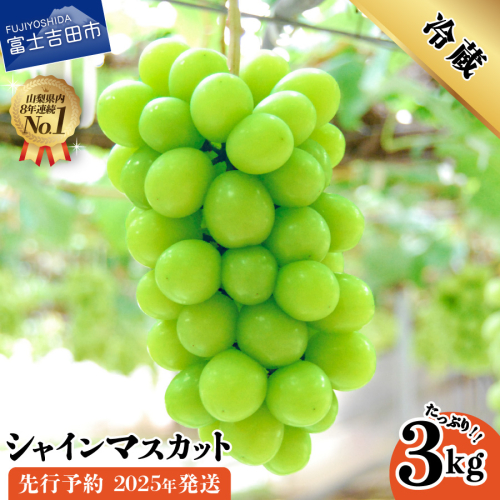 【2025年先行予約】山梨県産シャインマスカット3kg 74081 - 山梨県富士吉田市
