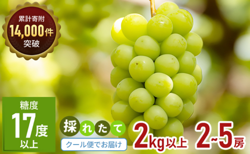 シャインマスカット 2~5房 2kg 家庭用 マスカット 葡萄 ぶどう ブドウ フルーツ 果物 くだもの 果実 旬の果物 旬のフルーツ 香川 香川県 東かがわ市 74389 - 香川県東かがわ市