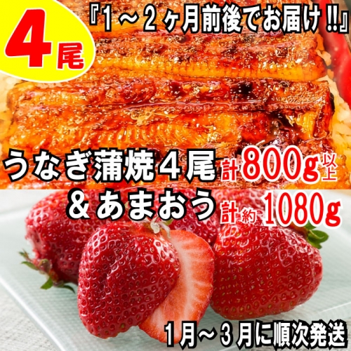 BD018.うなぎの蒲焼４尾＆いちごの王様あまおう１０８０g【新宮町ミラクルセット】 75471 - 福岡県新宮町