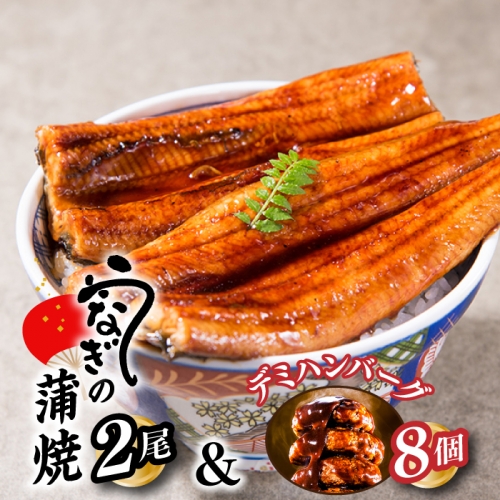 A1435.うなぎの蒲焼２尾＆大人気のデミハンバーグ８個【新宮町ゴールデンセット】 75489 - 福岡県新宮町
