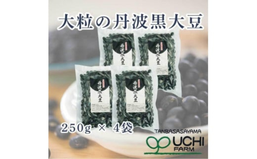 【新物　令和7年産】丹波篠山産 丹波黒大豆　特大サイズ 兵庫県 丹波篠山市 乾物 黒豆 丹波黒 おせち用 煮豆 グルメ 高級 ブランド