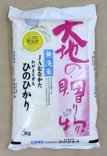 【令和7年産米】【2025年11月より順次発送】JAよりお届け！福岡県ブランド米「元気つくし」 5kg（5kg×1袋）[G2310] 76097 - 福岡県福津市