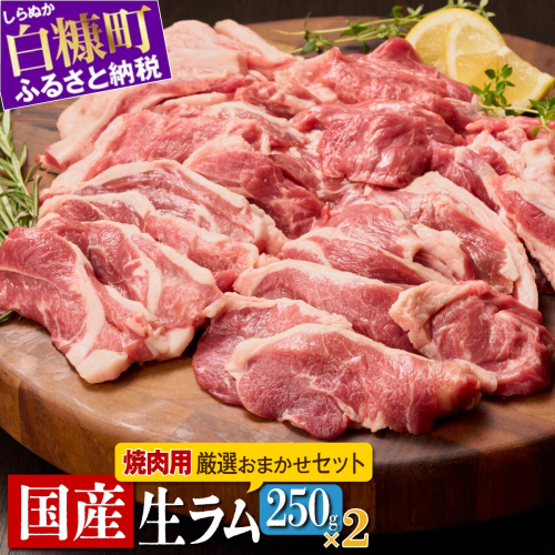 焼肉用ラム肉スライス【250g×2パック、オリジナルスパイス10g】 76242 - 北海道白糠町