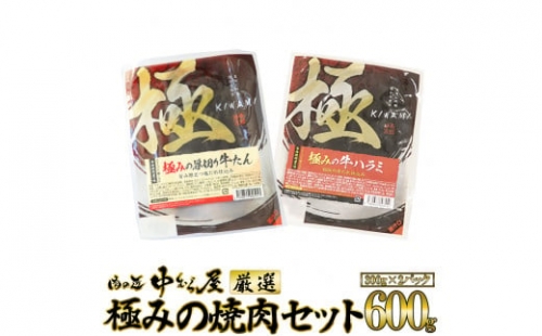 お肉讃歌 焼肉セット600g（300g×2パック）   ＜肉の匠中むら屋厳選＞ 牛タン 牛ハラミ  【1548】