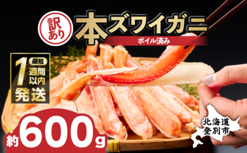 【最短1週間以内出荷】訳あり 冷凍 ボイル ずわいがに 足 600g ズワイガニ ハーフポーション | ギフト 2025 773214 - 北海道登別市