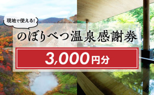 のぼりべつ温泉感謝券3，000円分 773546 - 北海道登別市