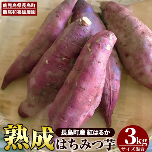《先行予約》〈数量限定〉和喜雄さんといつみさんのはちみつ芋(計3kg)【飯尾和喜雄農園】iio-3931 77534 - 鹿児島県長島町