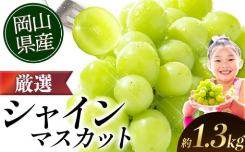 シャインマスカット【2026年出荷先行予約】 ランキング入賞！ 厳選 シャインマスカット 約1.3kg (2-3房)《2026年9月上旬-11月中旬頃に出荷予定》ぶどう 種なし ぶどう 岡山 ぶどう 先行予約 ぶどう シャインマスカット 大粒 シャインマスカット 晴王 シャインマスカット 岡山 シャインマスカット ぶどう ランキング 受賞