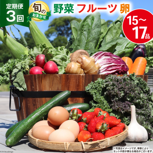 BD158 【3回定期便】 野菜・フルーツ・卵 旬のおまかせセット （野菜・フルーツ14～16種、卵6玉） 【 野菜セット 野菜 フルーツ 果物 たまご 鶏卵 産地直送 厳選 野菜生活 長崎県 島原市 送料無料】 77799 - 長崎県島原市