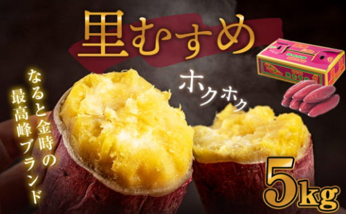 【 予約受付中・2025年10月頃より順次発送 】なると金時 （ 里むすめ ） 5kg さつまいも 鳴門金時 熟成 国産 スイーツ 焼き芋 焼芋 焼いも 干し芋 ギフト 贈り物 お土産 サツマイモ 里娘