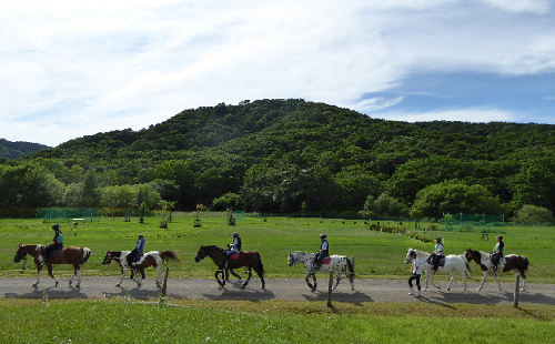 乗馬招待券45分×2枚(初心者コース)[07-092] 78660 - 北海道浦河町