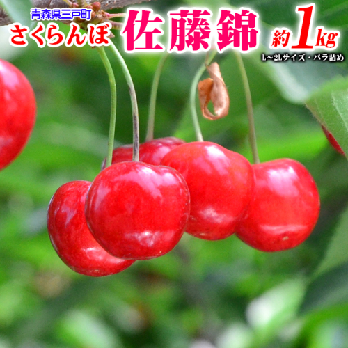 さくらんぼ【佐藤錦】 約1kg(L~2Lサイズ)バラ詰め【2025年産・先行予約】★2025年6月中旬~7月上旬頃にかけて順次発送予定★ 青森県三戸町産 7925 - 青森県三戸町