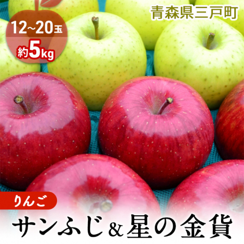 りんご【サンふじ＆星の金貨セット】約5kg（12～20玉）【2025年産・先行予約】★2025年11月中旬～12月中旬頃に発送予定★ 青森県三戸町産 7929 - 青森県三戸町