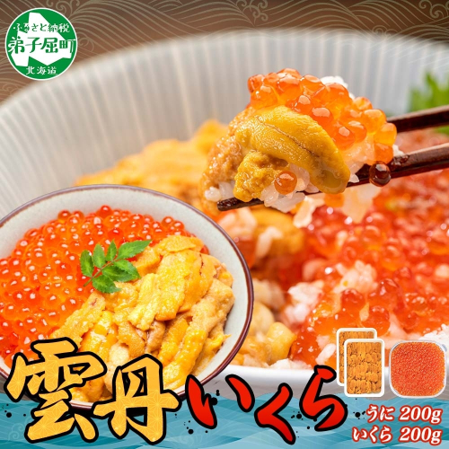 【年末配送可能 受付9月まで】3400. ウニ チリ産 冷凍 100g×2個 いくら 200g 二色丼 雲丹うに イクラ 海鮮 期間限定 数量限定 送料無料 北海道 弟子屈町 80160 - 北海道弟子屈町